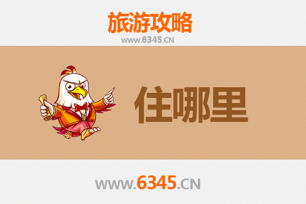 沈阳新民旅游民宿全攻略：沉浸式体验东北乡村风情